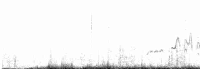 Traquet deuil (halophila) - ML587977511
