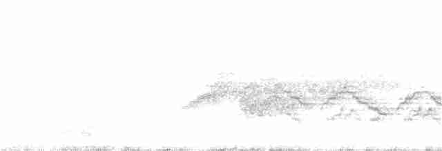 Бурый соловьиный дрозд - ML58797921