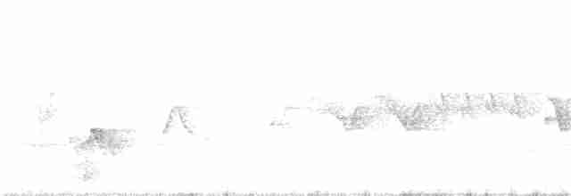 Cerulean Warbler - ML58797961