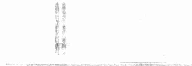 Дзьоган смугастокрилий - ML587999341
