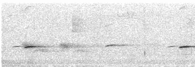 Fleckenpanthervogel (punctatus) - ML588054451