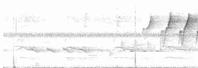 Reinita Protonotaria - ML588128201