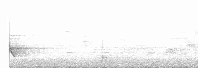Поплітник каролінський - ML588128531