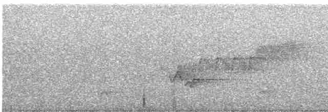 Cerulean Warbler - ML588128661