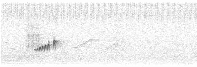 חמריה חלודת-זנב - ML588142801
