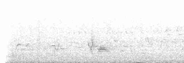 Серогрудый тиранн - ML588195611