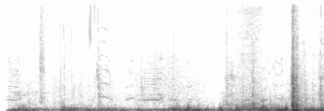 Гуска білолоба - ML588202611