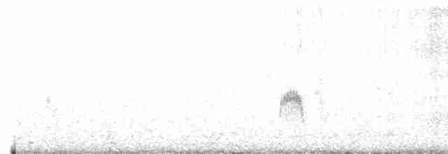 Плавунець плоскодзьобий - ML588202881