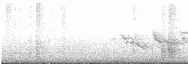 Plectrophane des neiges - ML588203401