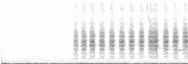 Woodchat Shrike - ML588236151