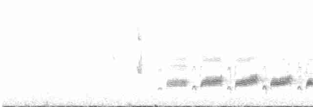 Western Orphean Warbler - ML588236331