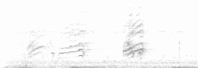 Kara Gagalı Saksağan - ML588245041