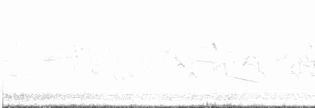 Средиземноморский жаворонок - ML588257721