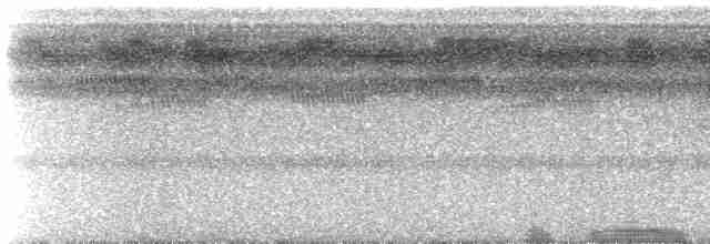Желтоклювая якамара (albirostris) - ML588263891