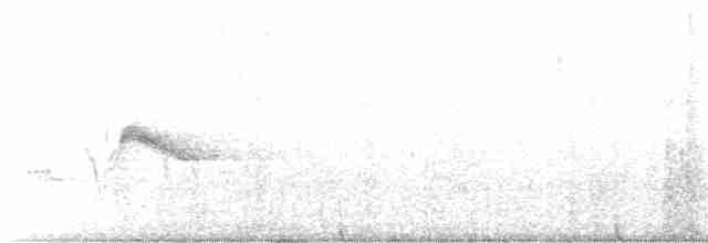 Пестрогорлый соловьиный дрозд - ML588298101
