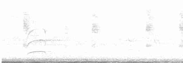 Ariane béryl (beryllina/viola) - ML588371671