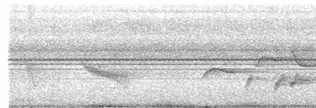 Траурная нектарница - ML588397041