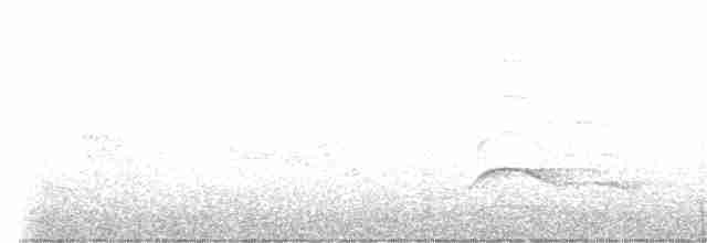 Чёрно-белый ястреб - ML588447201