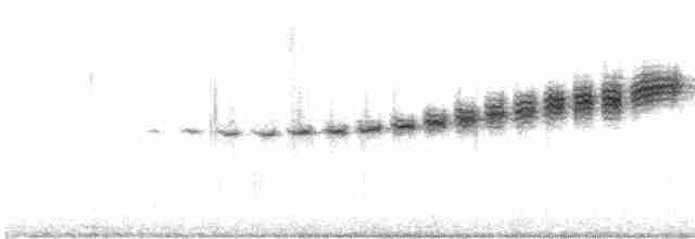 Prairie Warbler - ML588451301