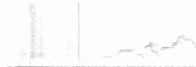 Дрізд-короткодзьоб Cвенсона - ML588451751