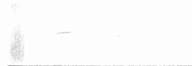Дрізд-короткодзьоб плямистоволий - ML588452121
