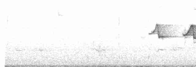 Трясогузковый певун - ML588478591