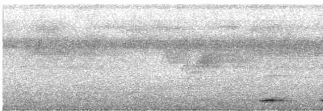 holub krátkozobý - ML588481041