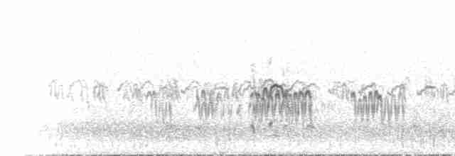 Белохвостый песочник - ML588501131