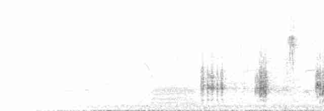 Great Reed Warbler - ML588521641