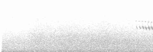Юнко сірий (підвид hyemalis/carolinensis) - ML588553931