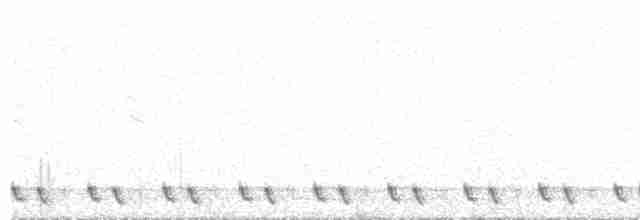 Red-necked Nightjar - ML588559641