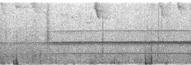 Mérulaxe de Spillmann - ML58856