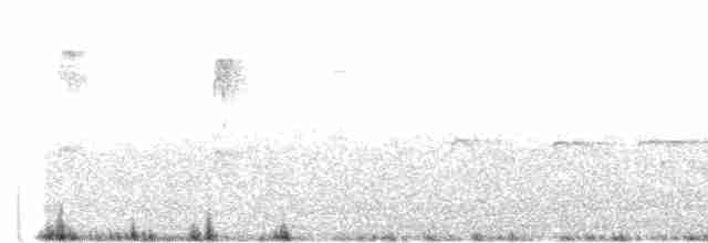 Downy Woodpecker (Pacific) - ML588561661
