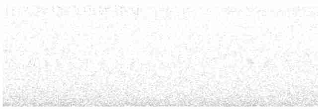 Eurasian Nightjar - ML588569311