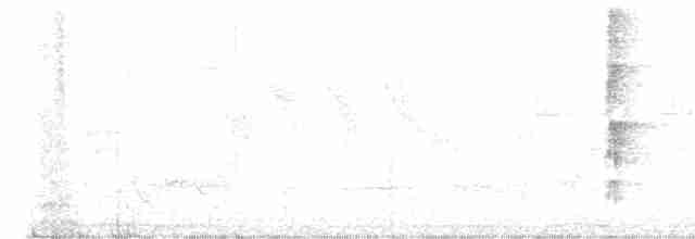 strakapoud velký [skupina major] - ML588585591