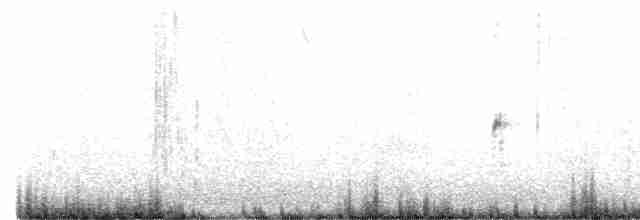 Плосконосый плавунчик - ML588595221