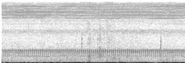 Long-tailed Nightjar - ML588619461