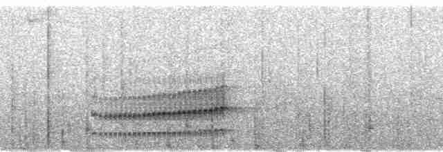 Mérulaxe de Spillmann - ML58862