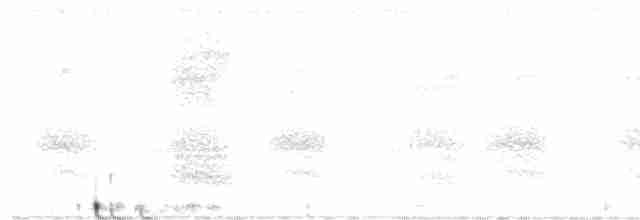 Травяная сипуха - ML588630751