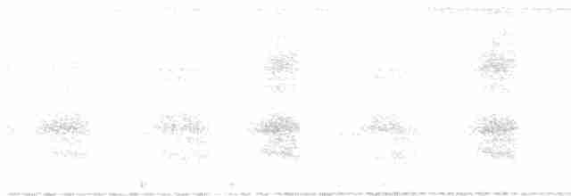 Травяная сипуха - ML588633131