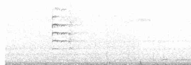 Gray-headed Lapwing - ML588710261