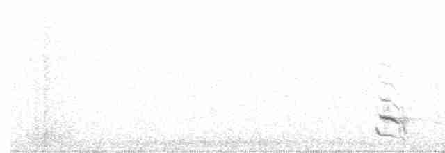 Пересмішник патагонський - ML588753061