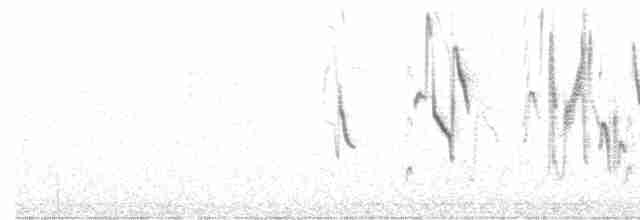 Оливковый пампасник (platensis) - ML588753071