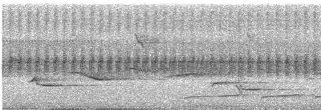Chevêchette cuculoïde - ML588757121