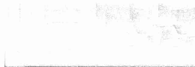 Cerulean Warbler - ML588762461
