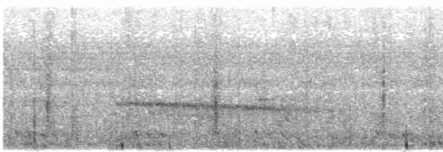 Alción de Esmirna - ML588813891