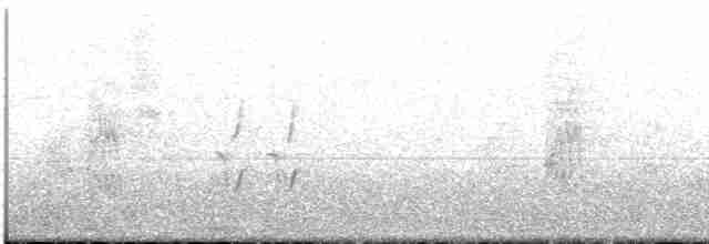 Калита сіроволий - ML588818071