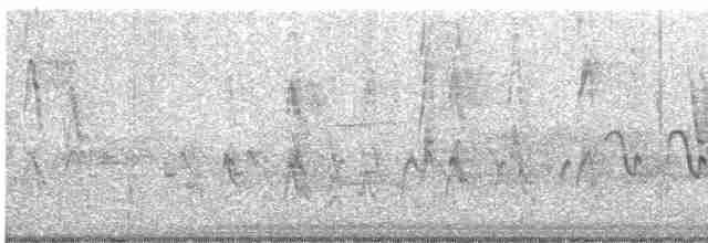 Long-tailed Meadowlark - ML588822901