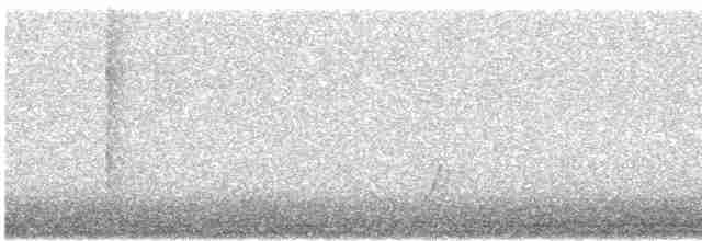 斑胸秧雞 - ML588838181