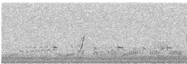 斑胸秧雞 - ML588839721